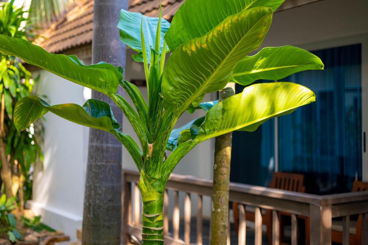 Samui Natien Resort Chaweng  Exterior photo